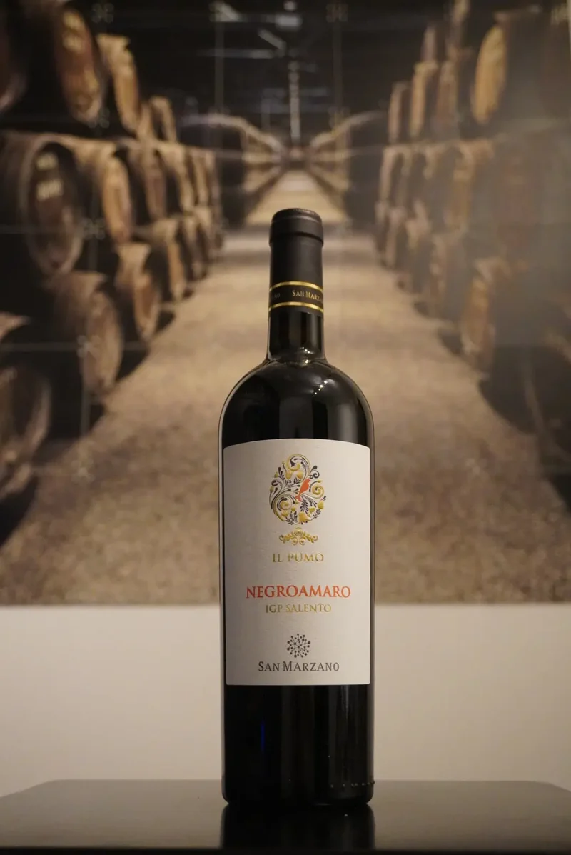 San Marzano Salento IGP Il Pumo Negroamaro 2025